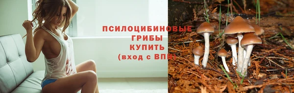 ГАЛЛЮЦИНОГЕННЫЕ ГРИБЫ Армянск