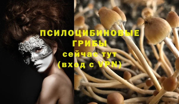 каннабис Арсеньев