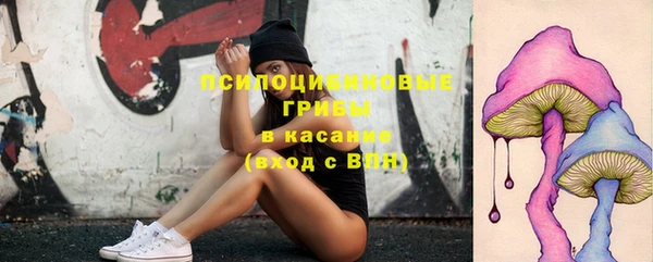 MDMA Premium VHQ Аркадак