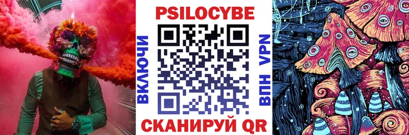 Псилоцибиновые грибы Magic Shrooms  как найти закладки  Тимашёвск 